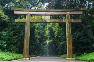 Pilt Meiji-Jingu Temple