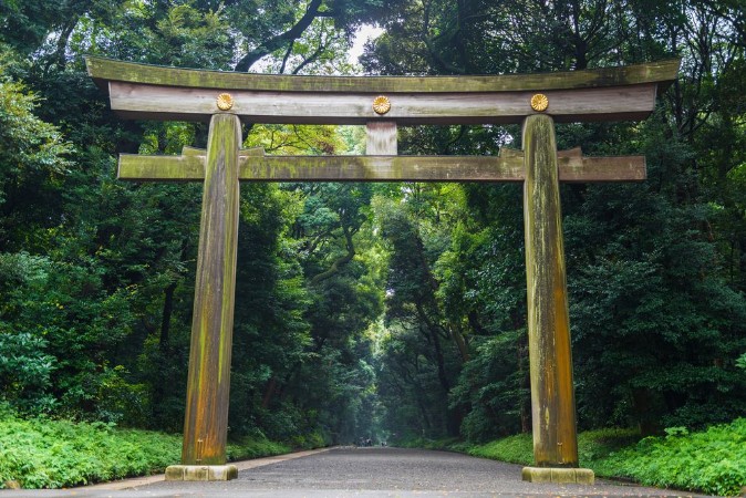 Meiji-jingu temple in Central Tokyo Japan photowallpaper Scandiwall