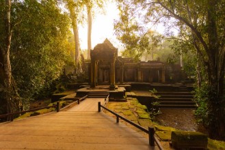 Picture of Ta Prohm Kambodsja