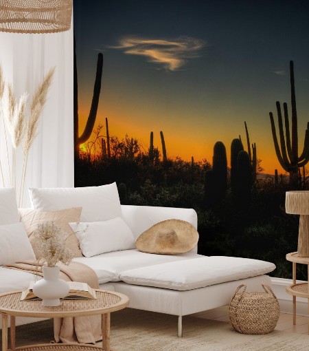 Image de Saguaro National Park