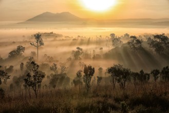Picture of Beautiful sunset and Foggy clouds in forest at Thung Salaeng Lua