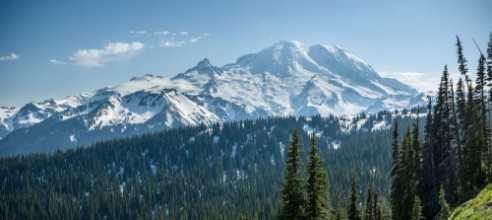 Picture of Mount Rainier Natl Park Sunrise Point WA USA