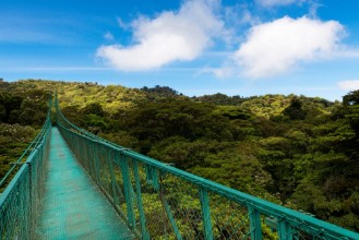 Picture of Suspended bridge over the canopy of the trees in Monteverde Costa Rica Central America