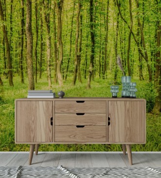 Image de Green forest