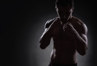 Pilt Fighter silhouette