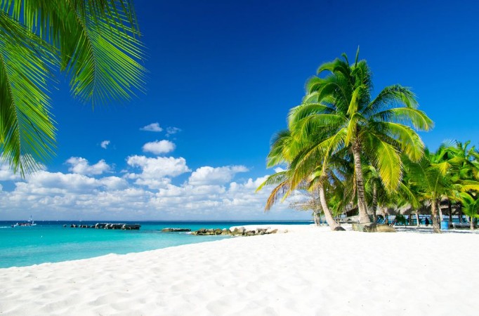 Picture of Tropical sea