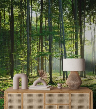 Picture of Morning in the forest