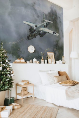 Afbeeldingen van North American Mitchell B-25J 9B