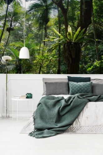 Afbeeldingen van Subtropical Vegetation