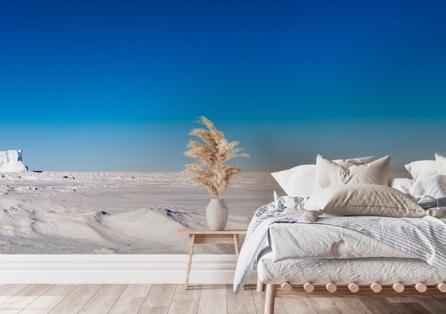 Afbeeldingen van Group of cute Emperor penguins on ice