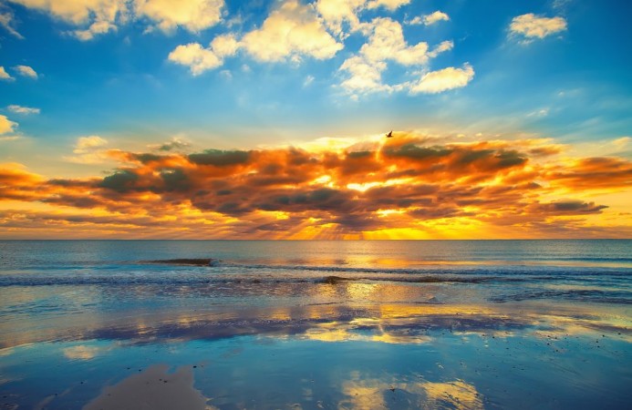 Picture of Sunset at sea