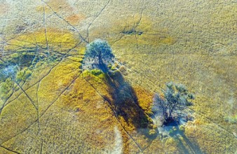 Image de Okavango delta Okavango Grassland is one of the Seven Natural Wonders of Africa view from the airplane - Botswana