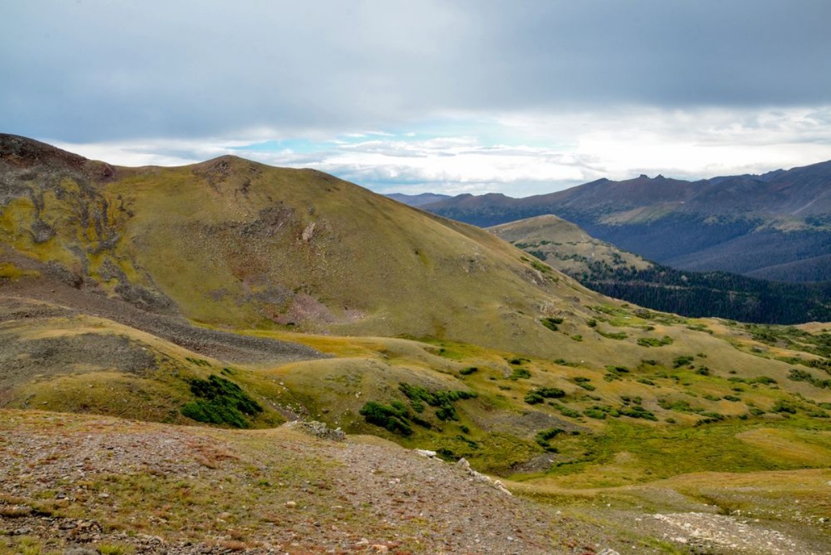 Picture of Alpine tundra and mountain view from Lava Cliffs Overlook on Trail Ridge RoadRocky Mountain National Park Larimer County Colorado USA