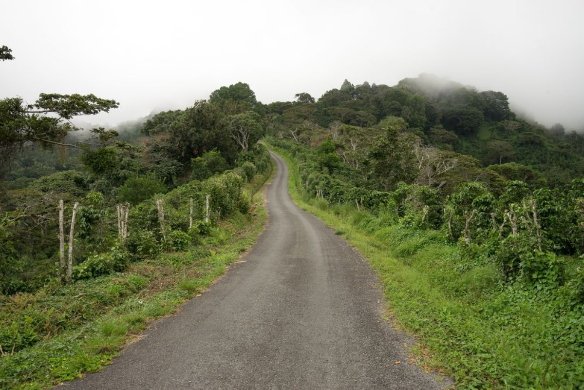 Picture of Gravel road in Panamas highlands by Boquete