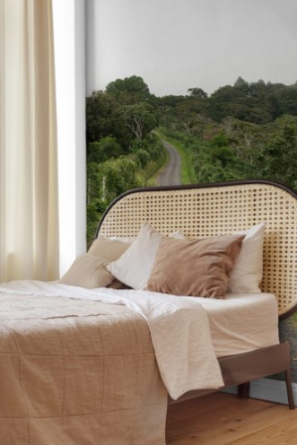 Afbeeldingen van Gravel road in Panamas highlands by Boquete