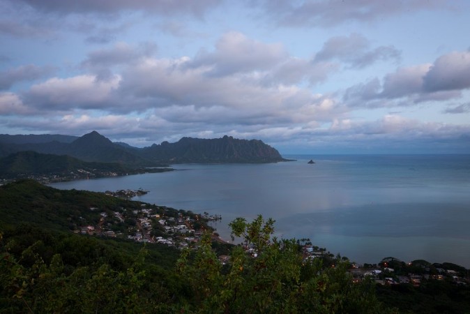 Picture of Chinamans hat