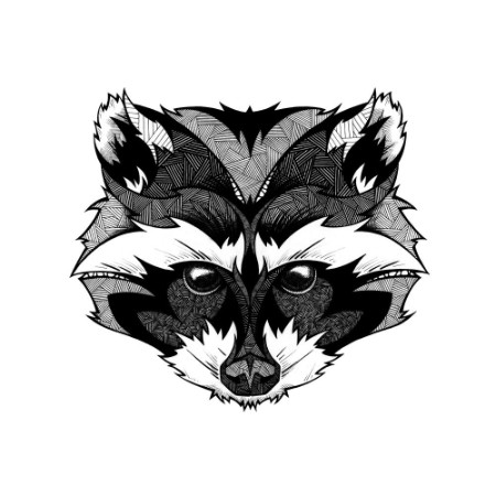 Picture of Raccoon head illustration black and white 