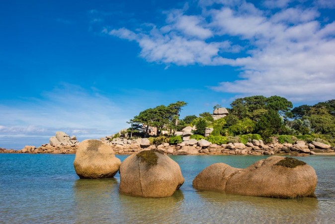 Image de Rosa Granitkste in der Bretagne bei Ploumanach Frankreich