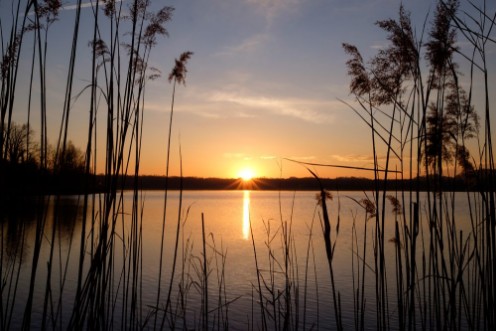 Image de Sunset at Annone Lake