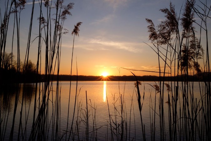 Picture of Sunset at Annone Lake