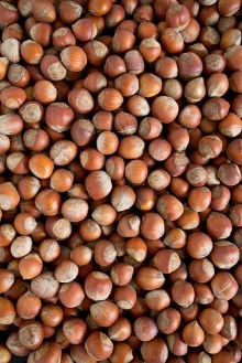 Bild von Hazelnut background