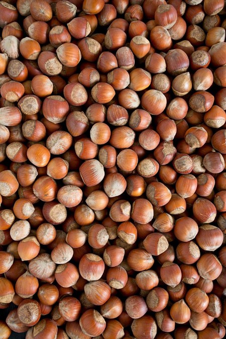 Picture of Hazelnut background