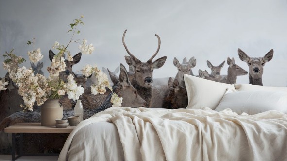 Bild på Hirsche und Rehe im Schnee