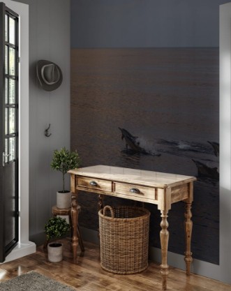 Afbeeldingen van Dolphin Dawn