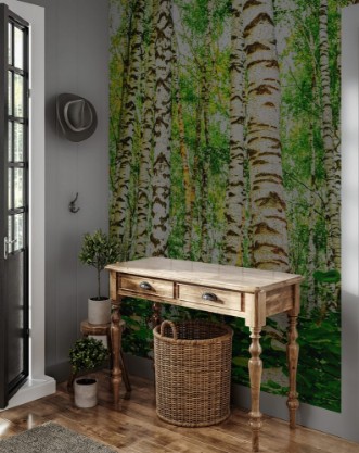 Afbeeldingen van Summer in sunny birch forest