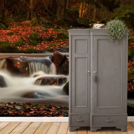 Image de Small Autumn Stream