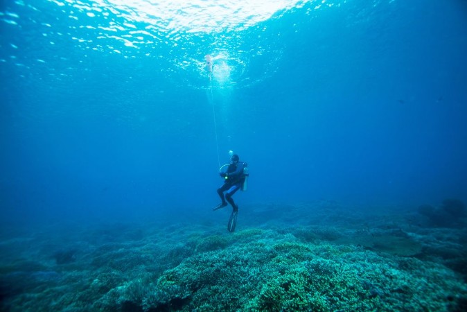 Picture of Scuba diver Sipadan island Celebes sea Malaysia