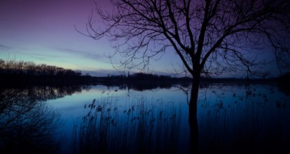 Bild von Abend am see