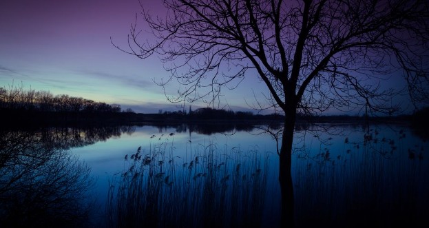 Image de Abend am see