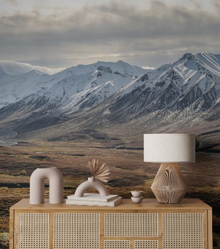 Afbeeldingen van Panorama Autumn in Denali National Park Alaska