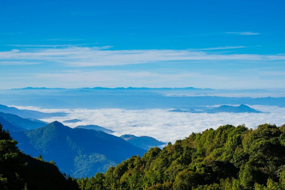 Picture of Landscape view point  many mist in mountain at Chiengmai
