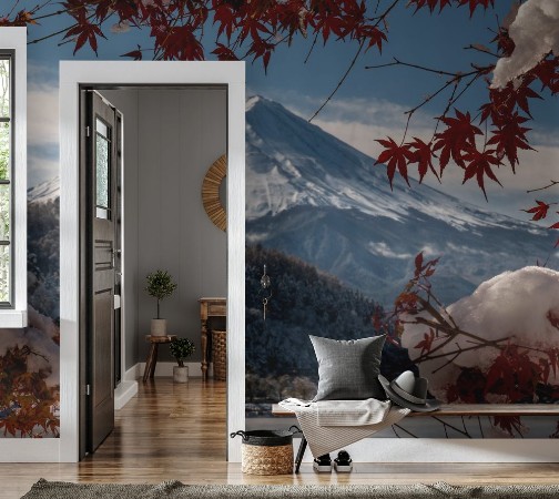 Image de Mount Fuji Japan