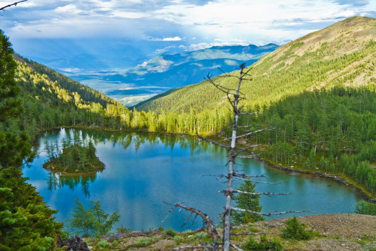 Picture of Little Island Lake 2