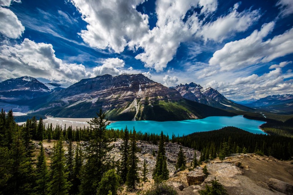 Picture of The Magnificence of Planet Earth