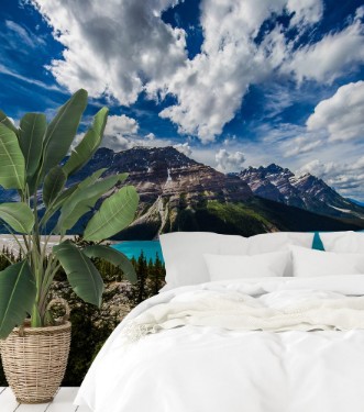 Bild på The Magnificence of Planet Earth