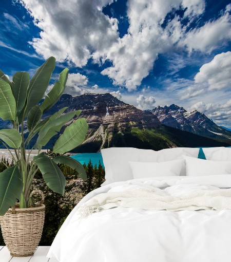 Picture of The Magnificence of Planet Earth