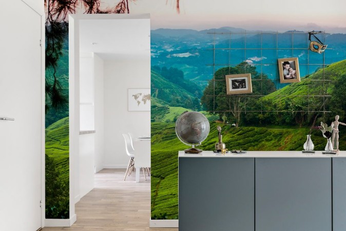 Bild på Tea plantations in the cameron highlands