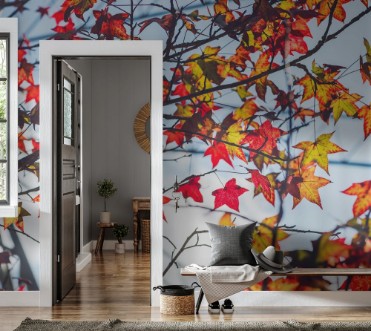 Picture of Autumn Maple