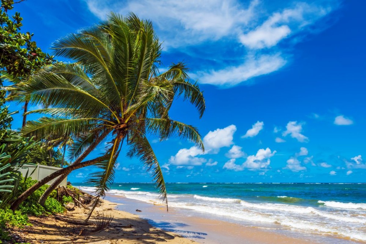 Picture of Punaluu Beach on Oahu Island Hawaii