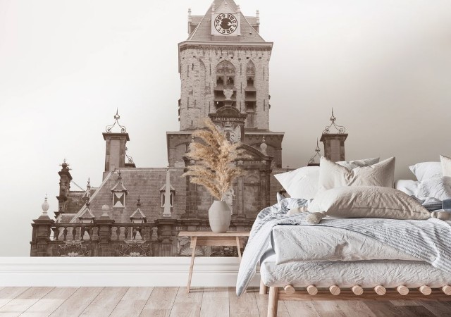 Picture of City Hall Delft Holland