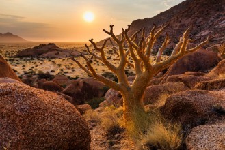 Bild på Group of bald granite peaks - Spitzkoppe Damaraland Namibia