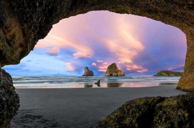 Picture of Wharariki beach New zealand at sunset scenery