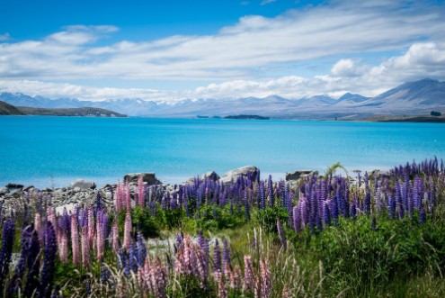 Image de Magnifique lac dans les montagnes 