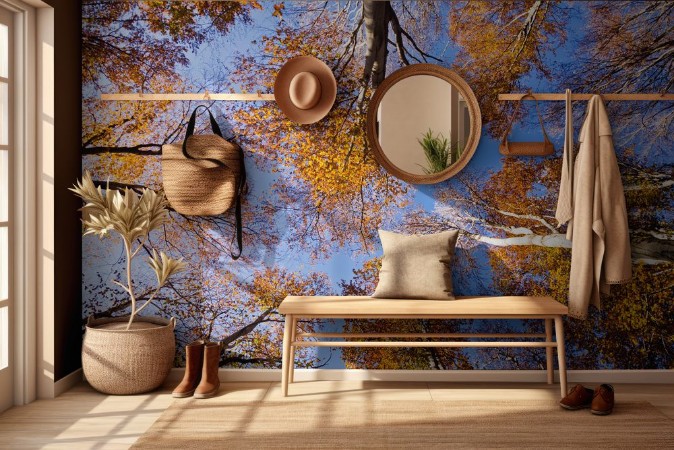 Afbeeldingen van Autumn Sky