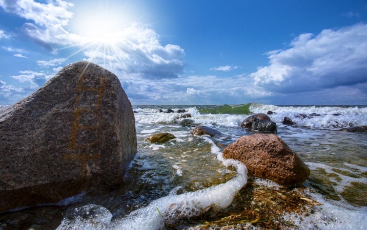 Picture of Die Kste des Greifswalder Boddens bei Sonnenschein   Deutschland 