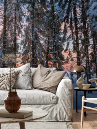 Picture of Sunset viewed out of a forest